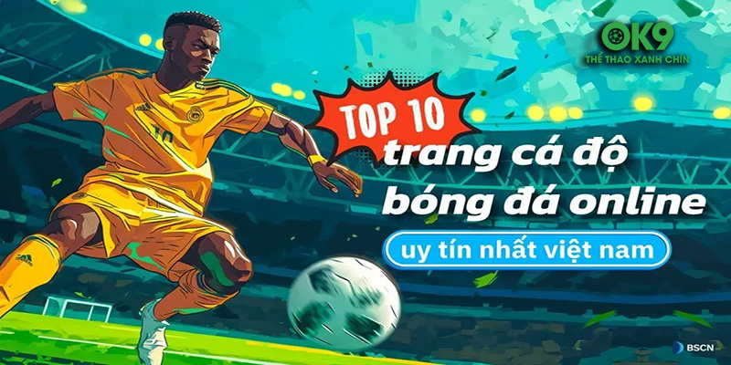 Top Nhà Cái Hàng Đầu – Những Địa Chỉ Cá Cược Đáng Tin Cậy